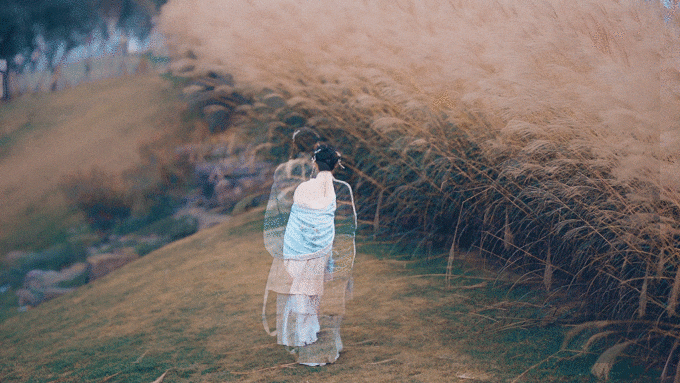 #回顾2019# 暮霞如烟,浮云千幻,石竹清音枫铃杳