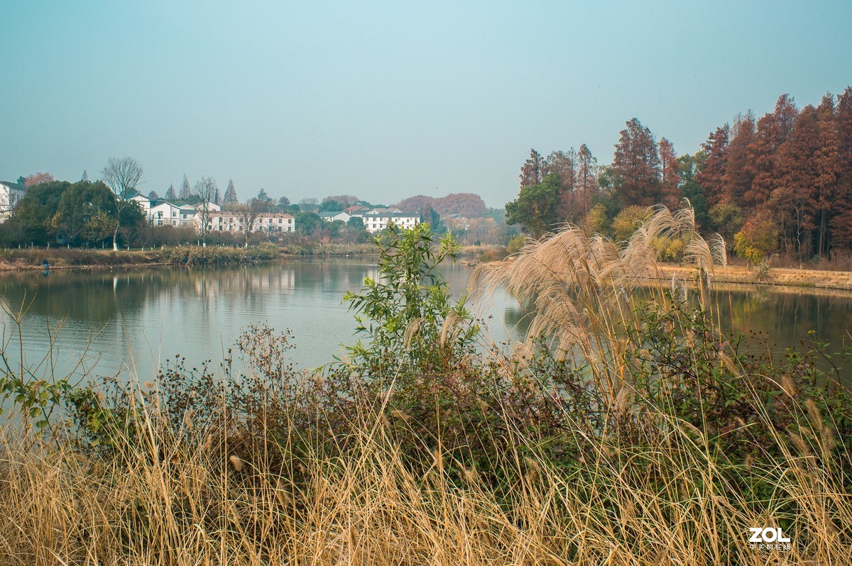 国产镜头 绿道寻踪 漫步试拍