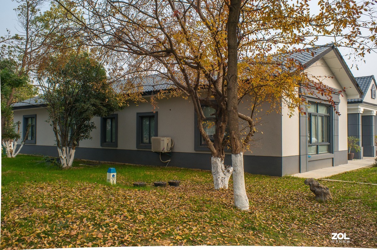 国产镜头 绿道寻踪 漫步试拍