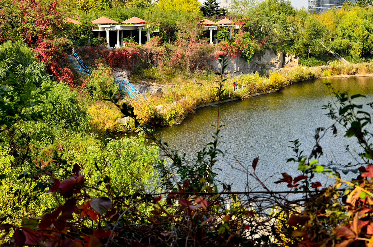 银河公园秋叶集