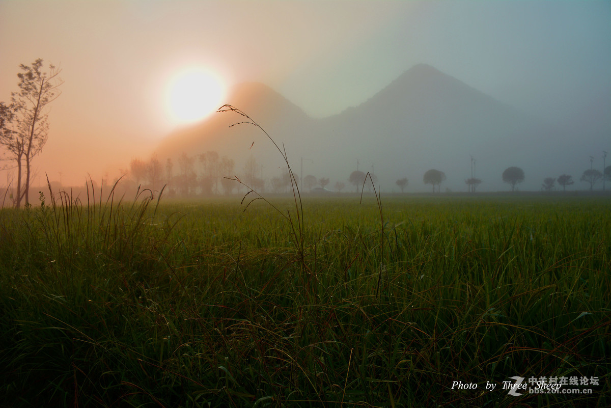晨拍摄“日出”