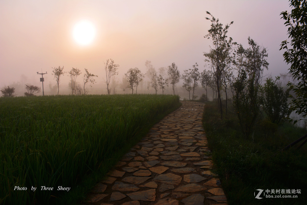 晨拍摄“日出”