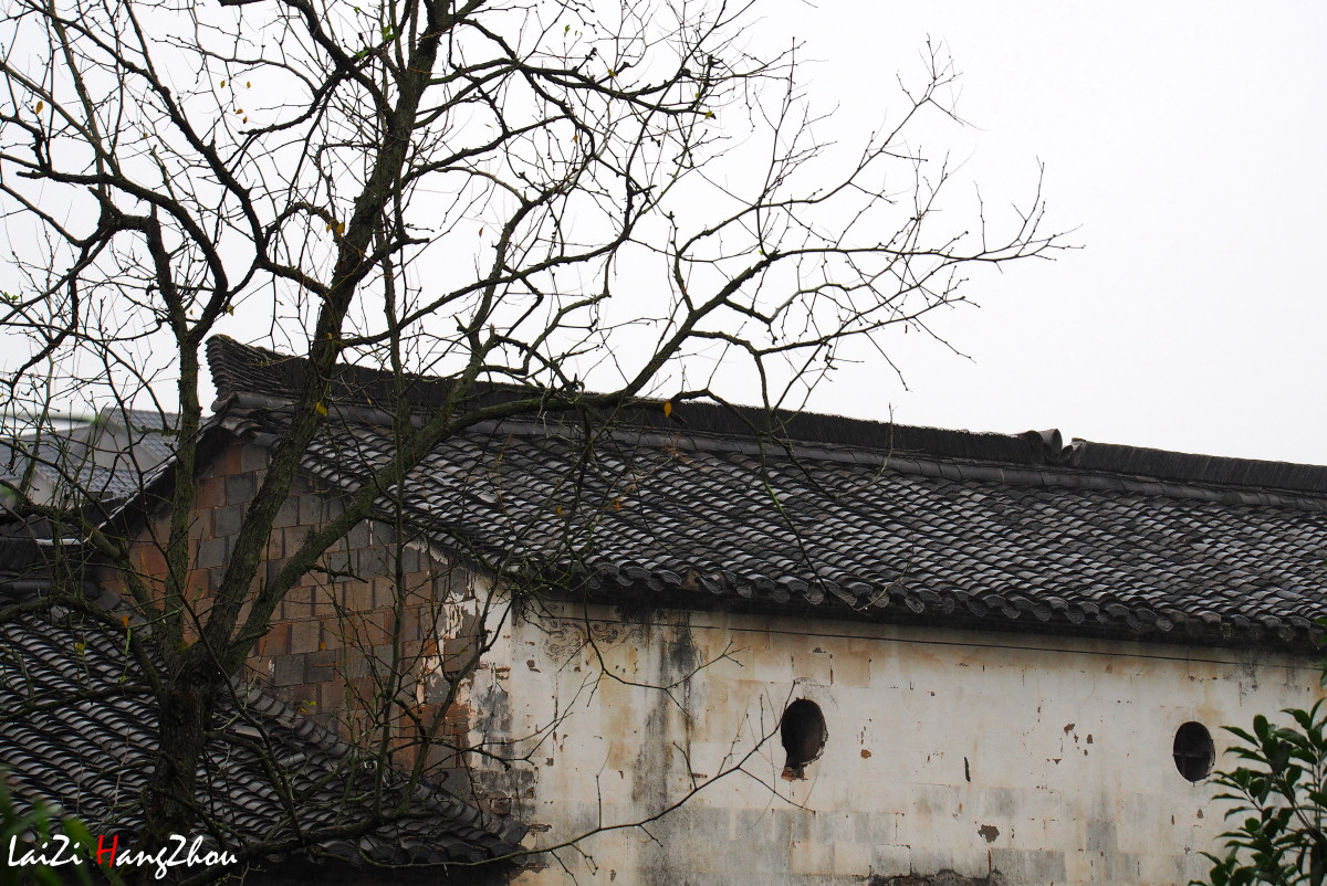 浙江江山清漾毛氏文化村（6）