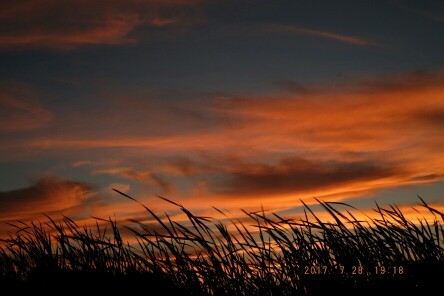 天然泼墨风景画