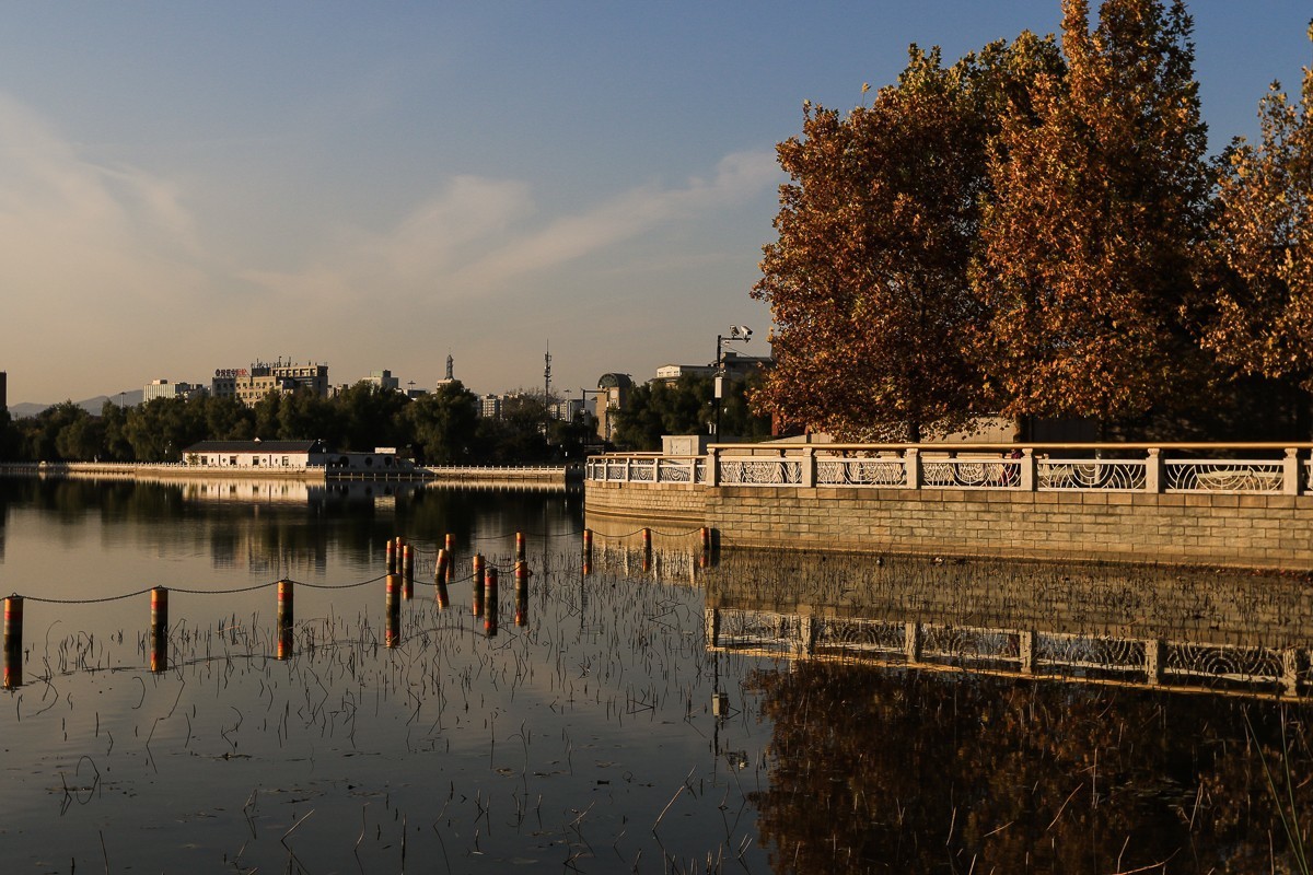 #佳能月赛-冬日精彩#    莲花池公园  初冬