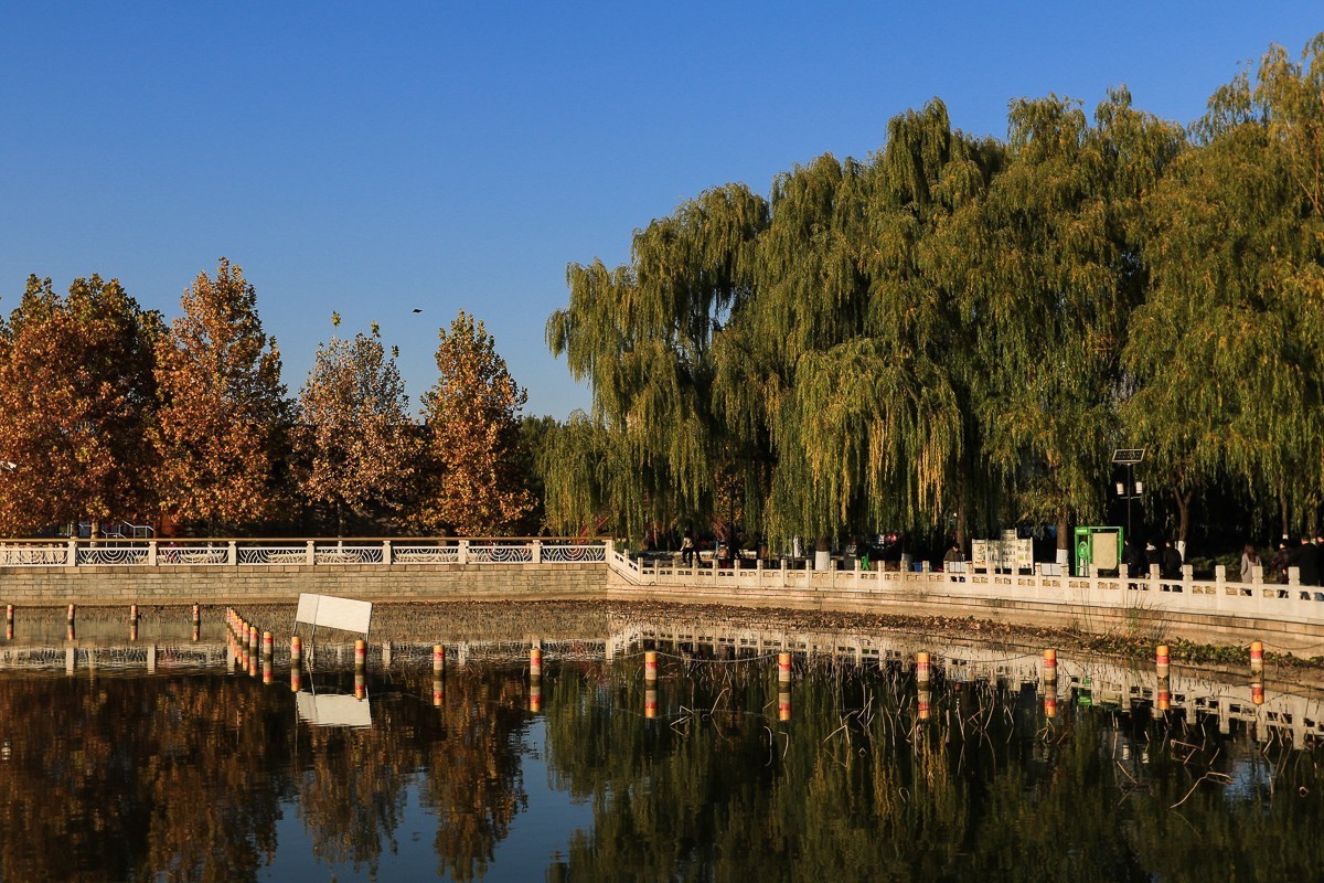 #佳能月赛-冬日精彩#    莲花池公园  初冬