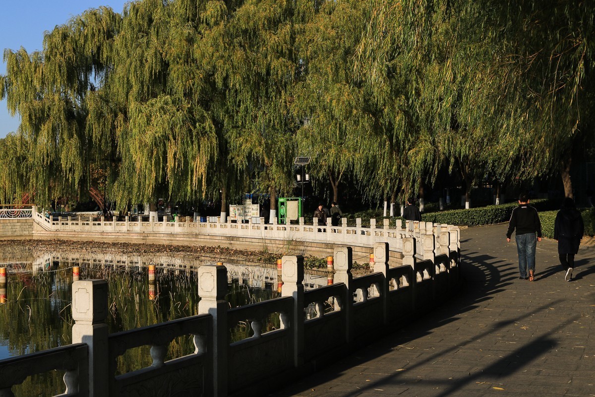 #佳能月赛-冬日精彩#    莲花池公园  初冬