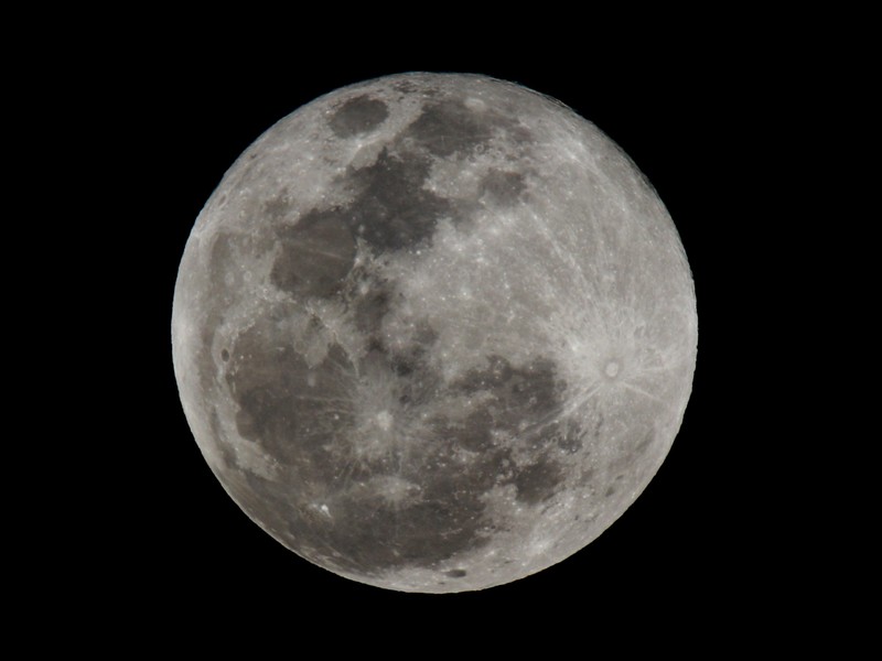 80D+600mm，学打鸟射月。