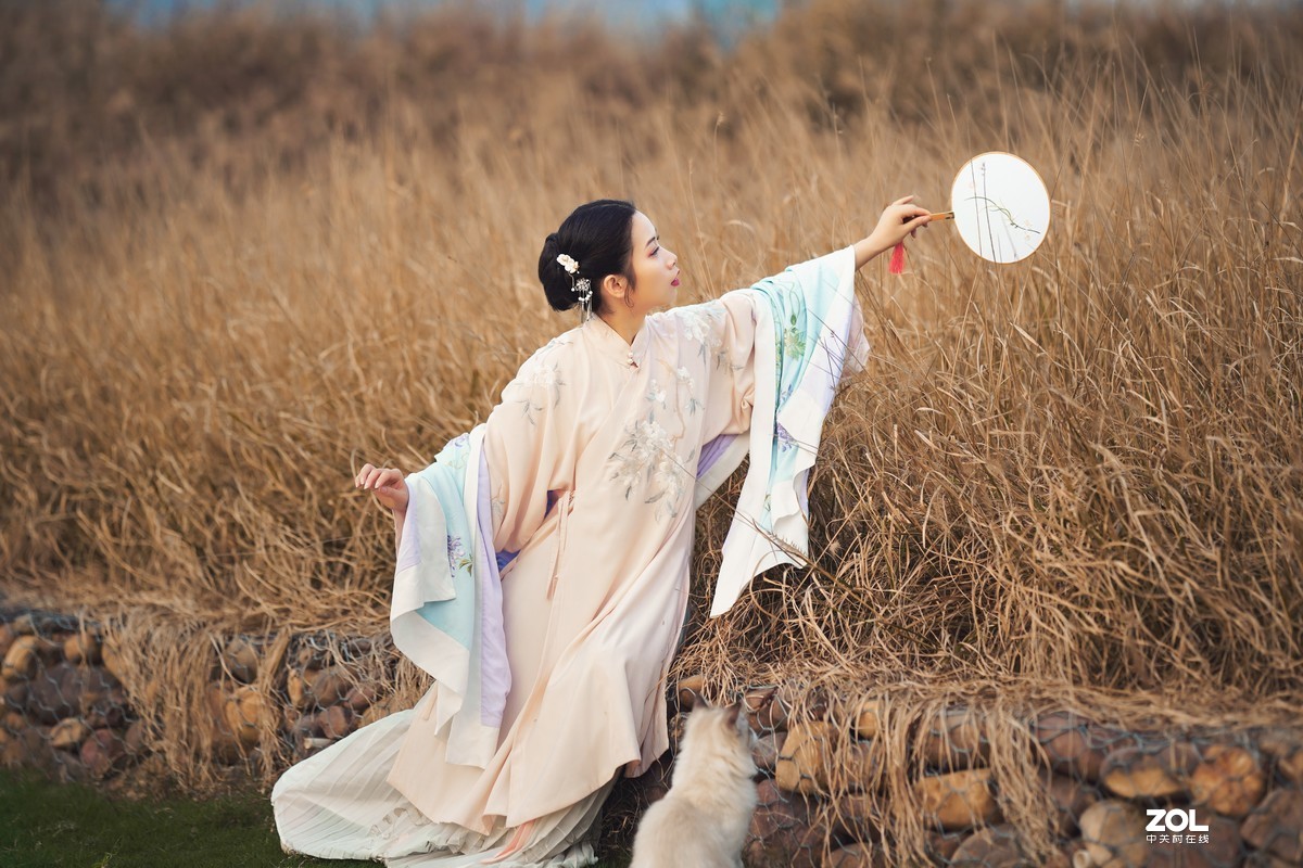 #回顾2019# 暮霞如烟,浮云千幻,石竹清音枫铃杳