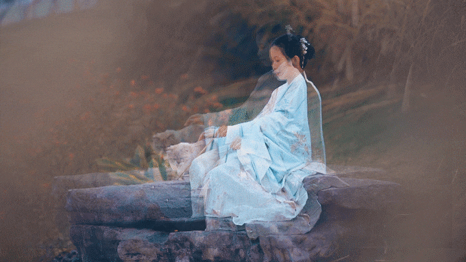 #回顾2019# 暮霞如烟,浮云千幻,石竹清音枫铃杳