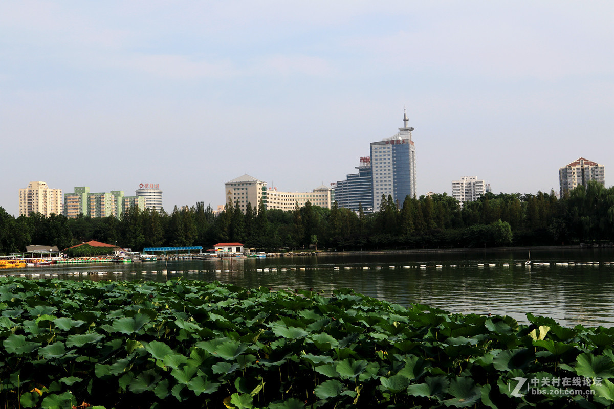 玉渊潭公园