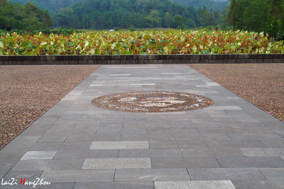 浙江江山清漾毛氏文化村（6）