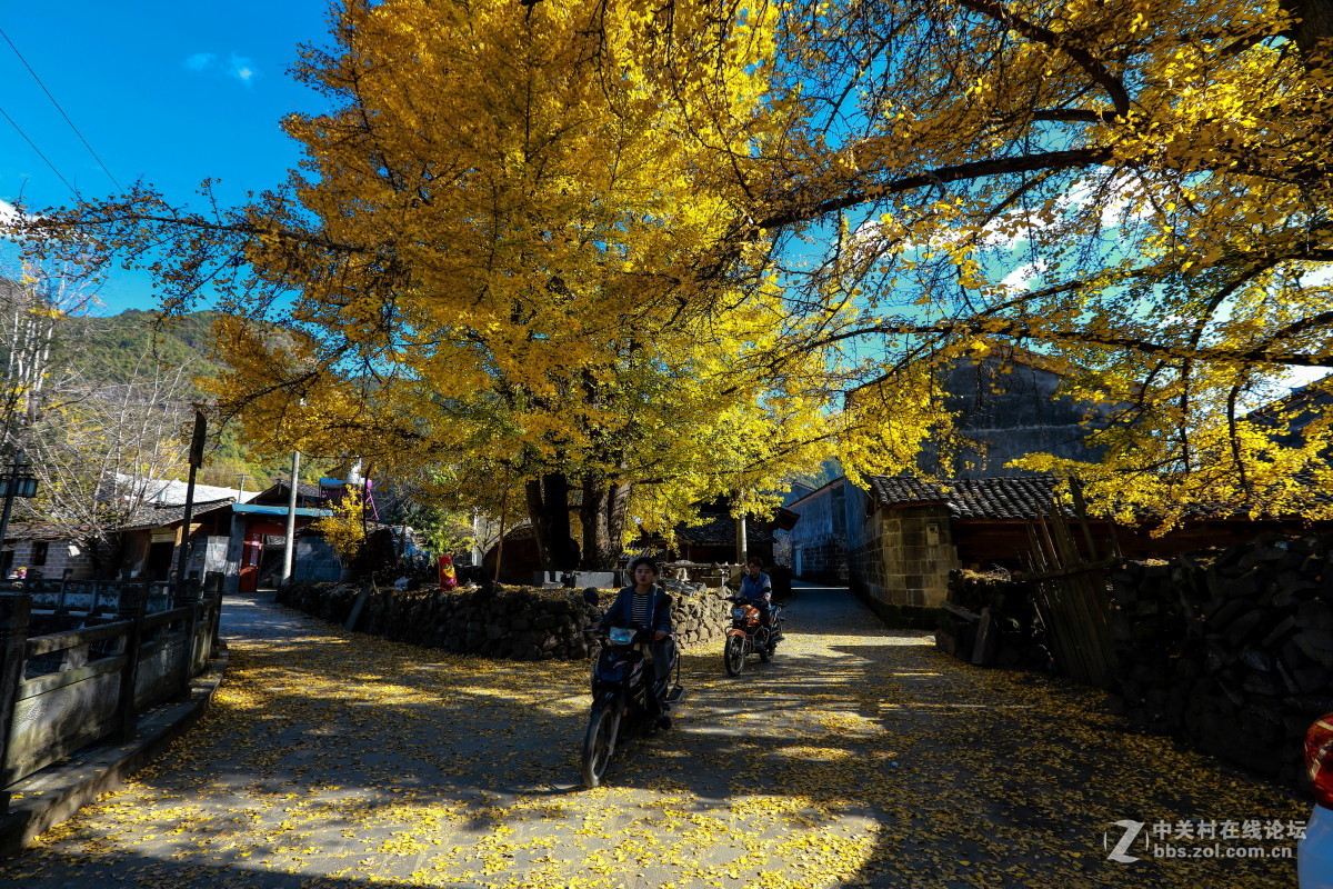 #版主坐堂#2017年3月份《承德》优秀作品选辑