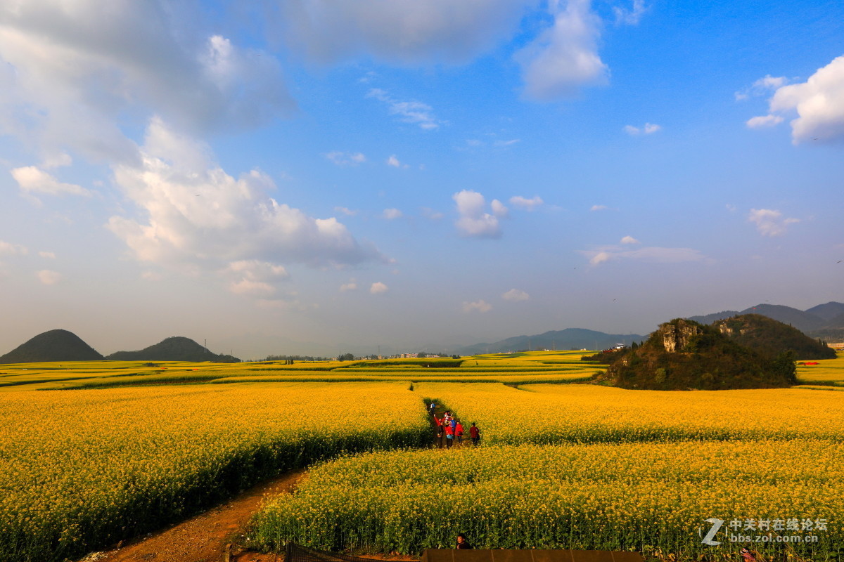 #版主坐堂#2017年3月份《承德》优秀作品选辑