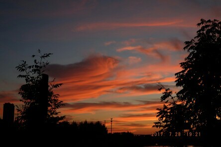 天然泼墨风景画