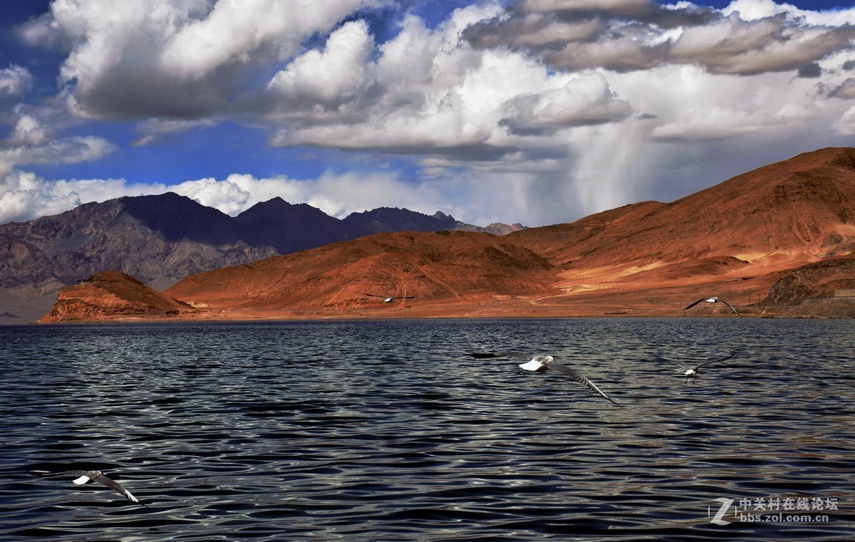 #版主坐堂#2018年11月份《承德》优秀作品选辑