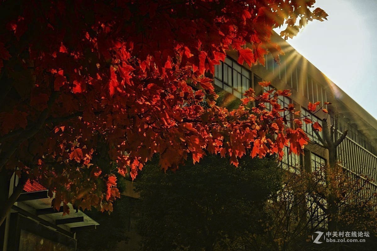 #版主坐堂#2018年11月份《承德》优秀作品选辑