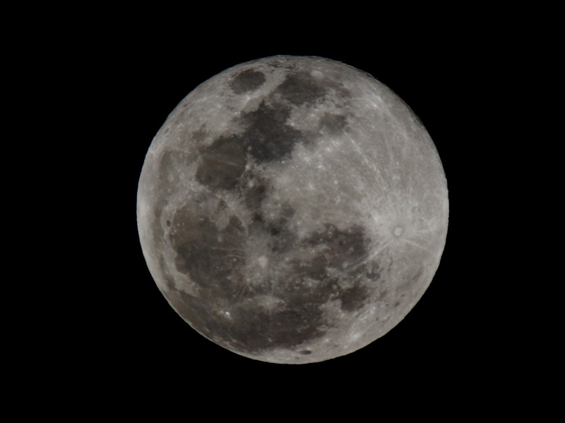 80D+600mm，学打鸟射月。