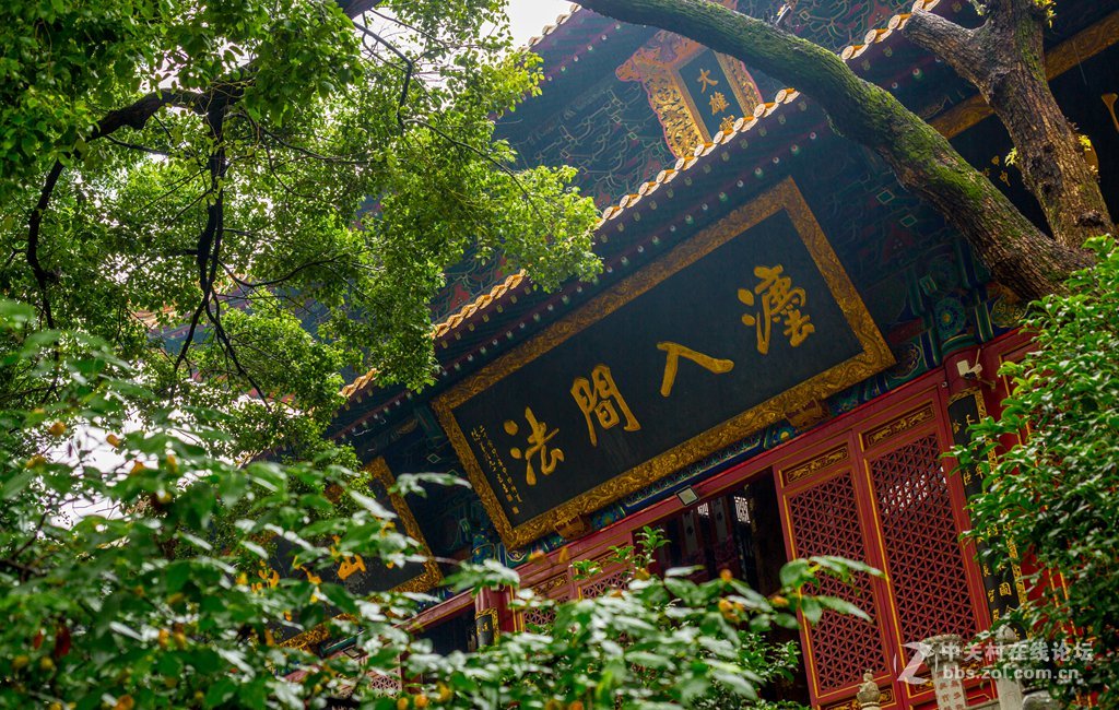 武汉-大学-学习心得！