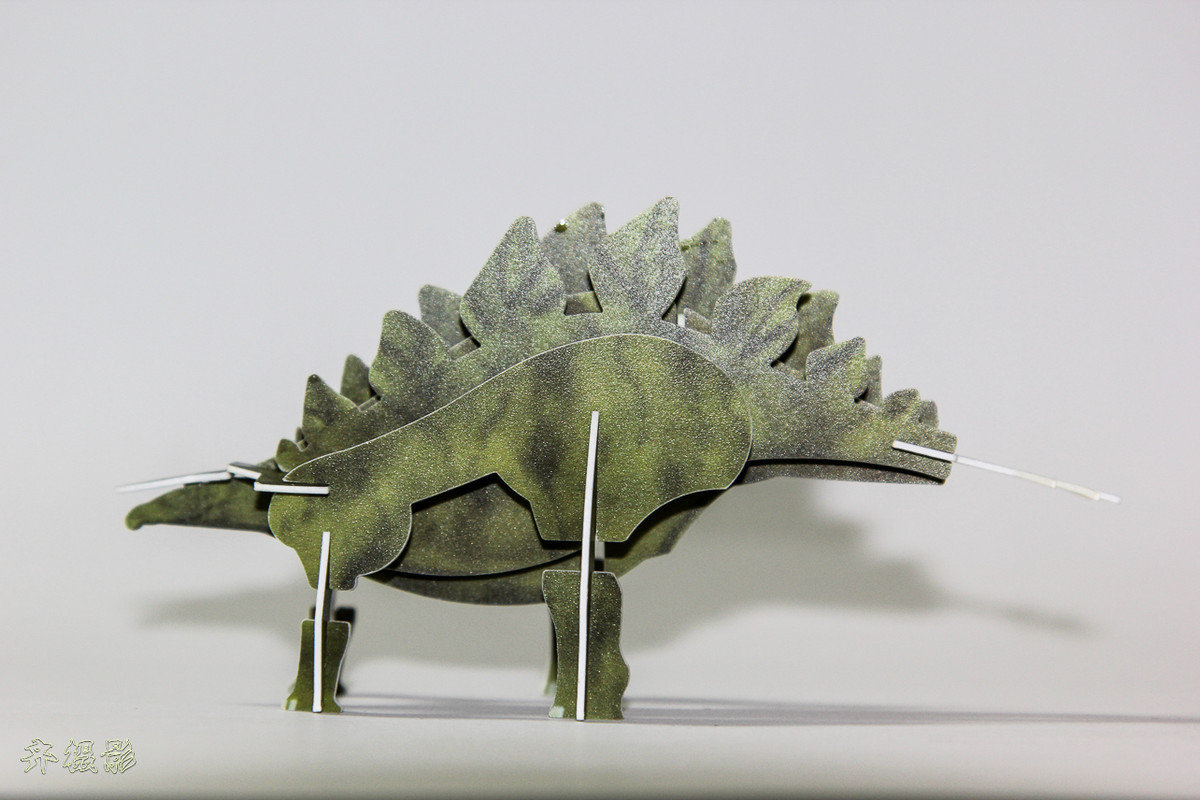 佳能单反相机取景器对焦屏灰尘清理（小齐实验）