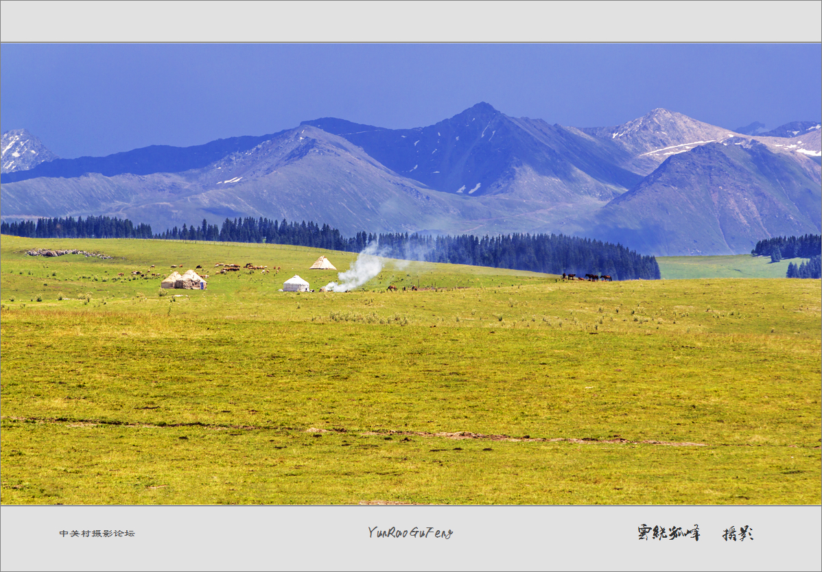 60D拍马！不是拍马屁哈！终于三个村委到齐了！