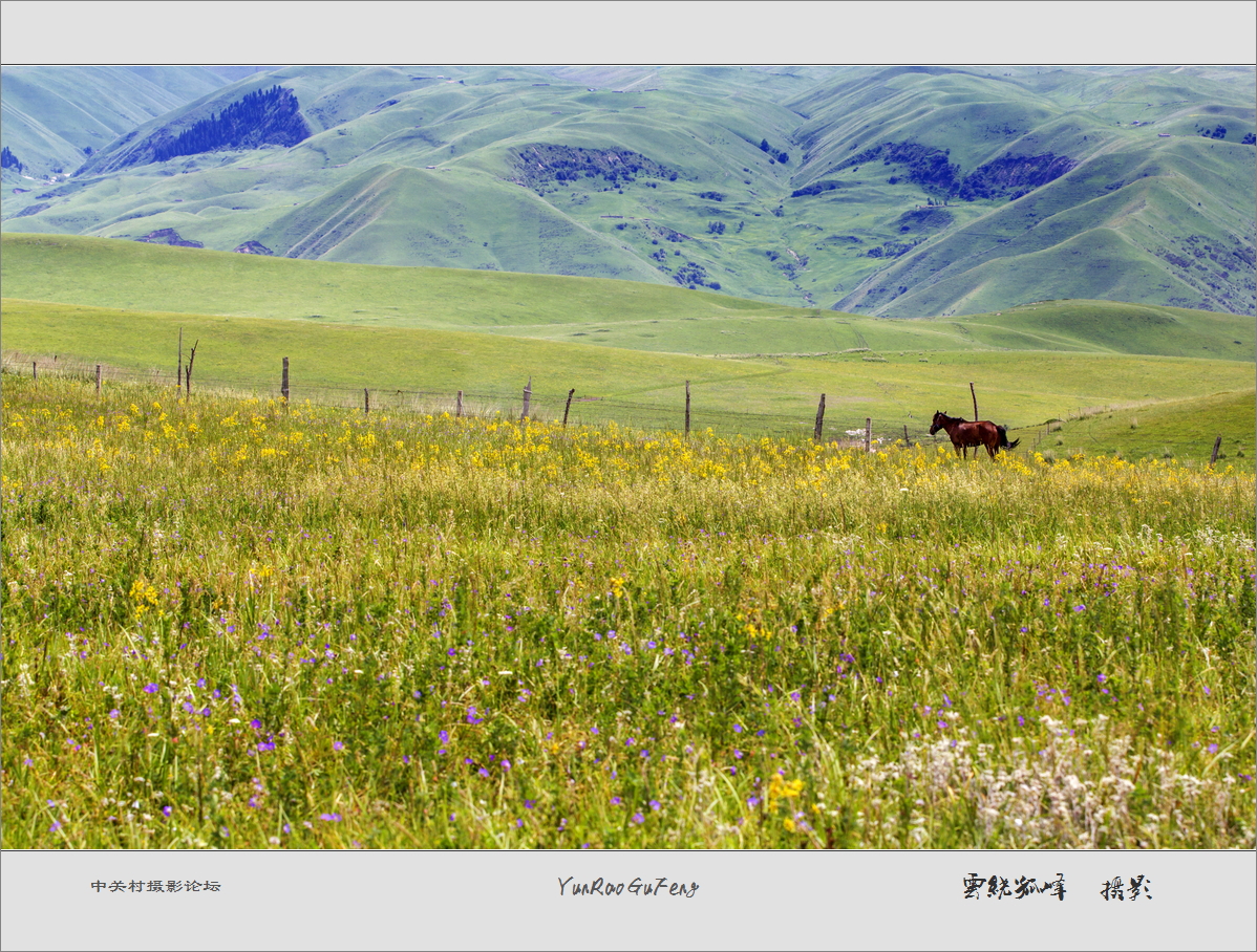 60D拍马！不是拍马屁哈！终于三个村委到齐了！