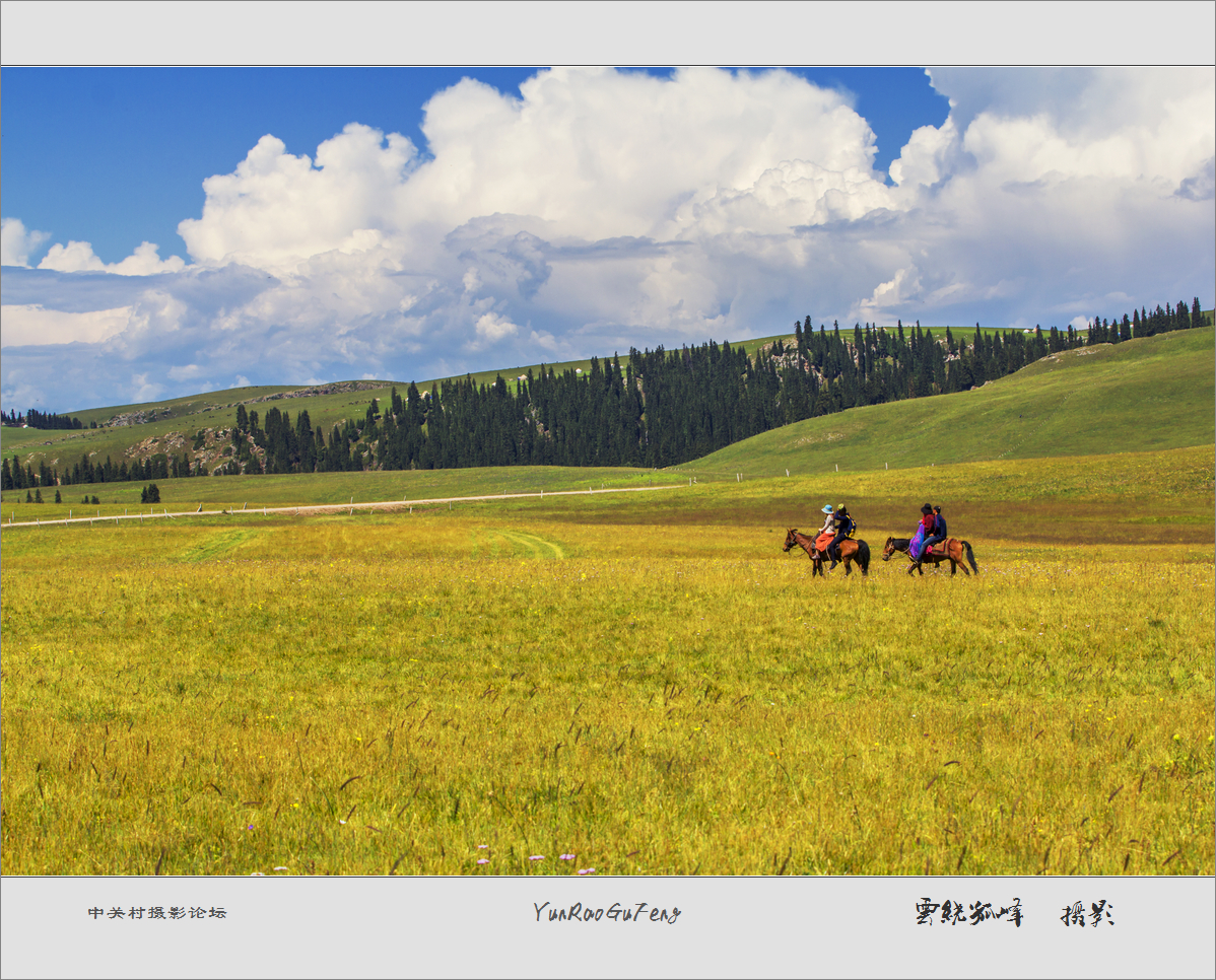 60D拍马！不是拍马屁哈！终于三个村委到齐了！