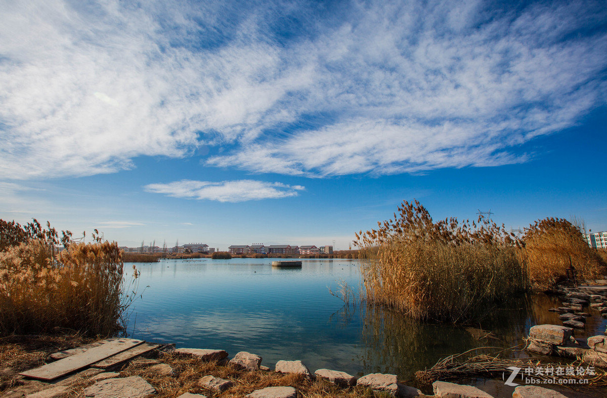 湿地之冬景旖旎（祁连山歌）