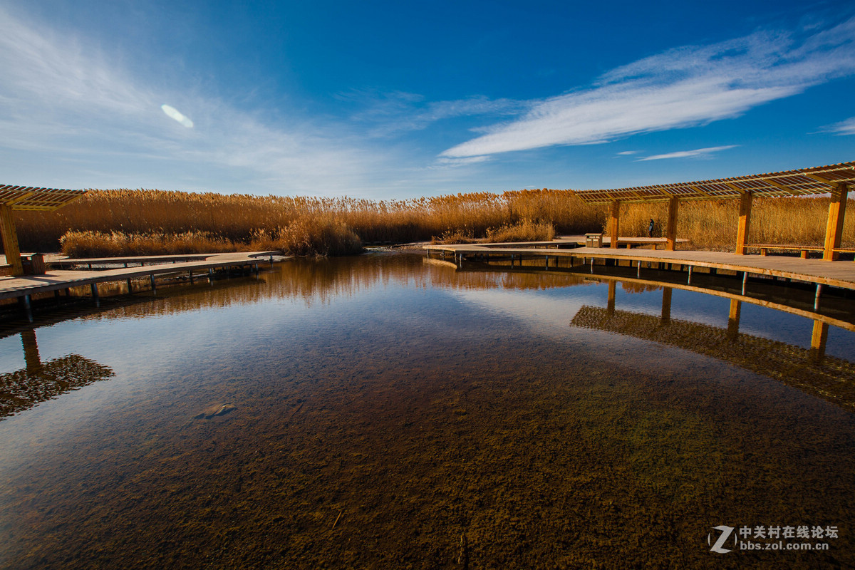 湿地之冬景旖旎（祁连山歌）