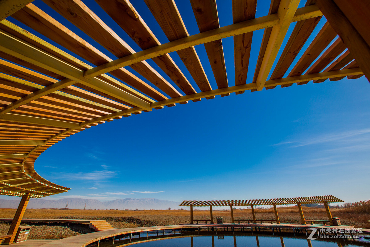 湿地之冬景旖旎（祁连山歌）