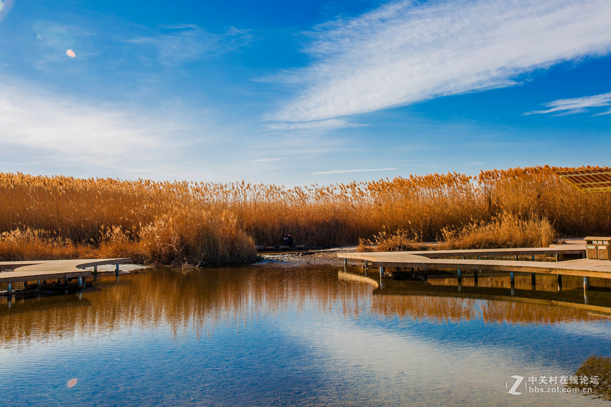 湿地之冬景旖旎（祁连山歌）