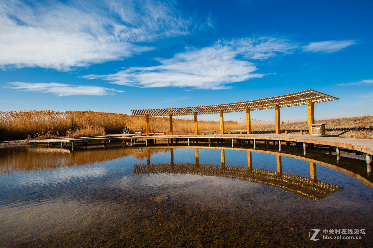 湿地之冬景旖旎（祁连山歌）