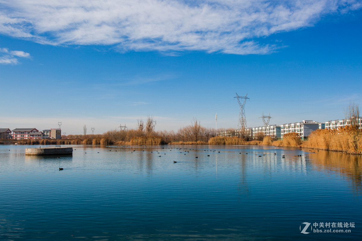 湿地之冬景旖旎（祁连山歌）