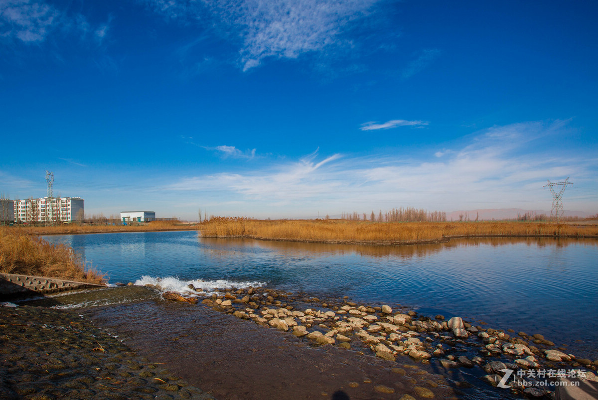 湿地之冬景旖旎（祁连山歌）