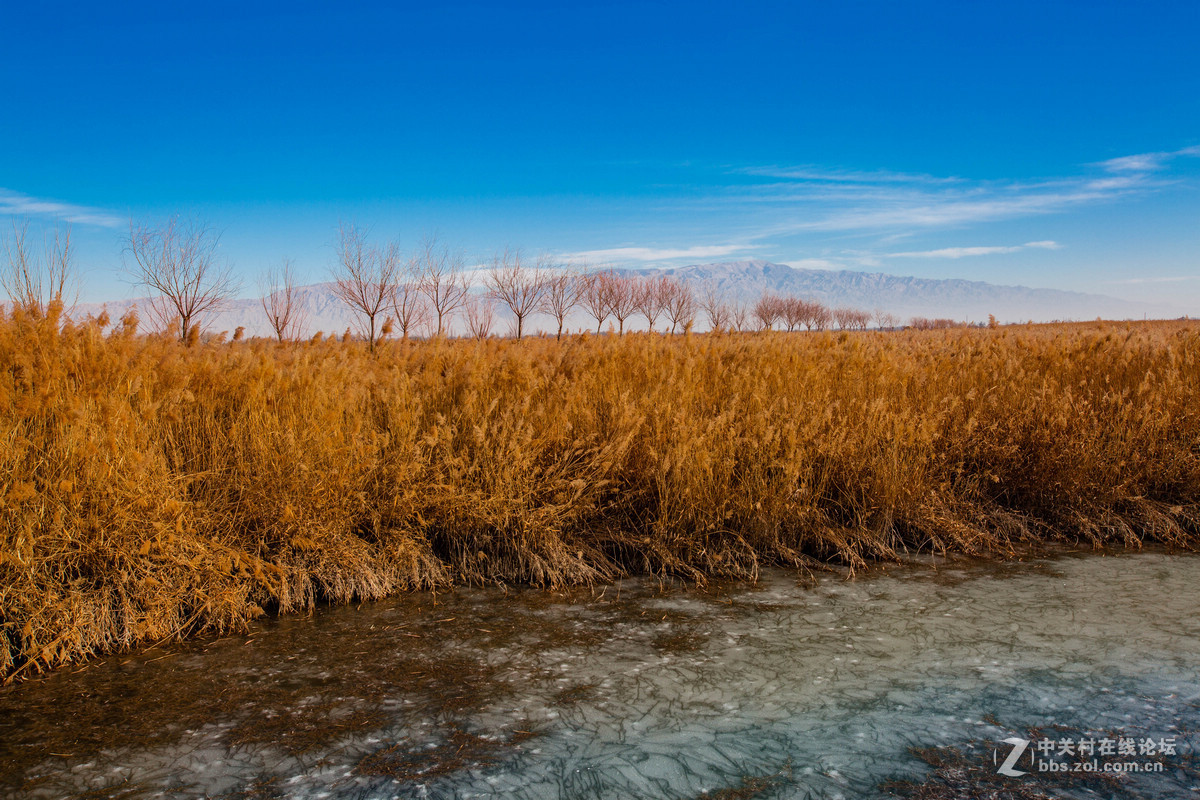 湿地之冬景旖旎（祁连山歌）