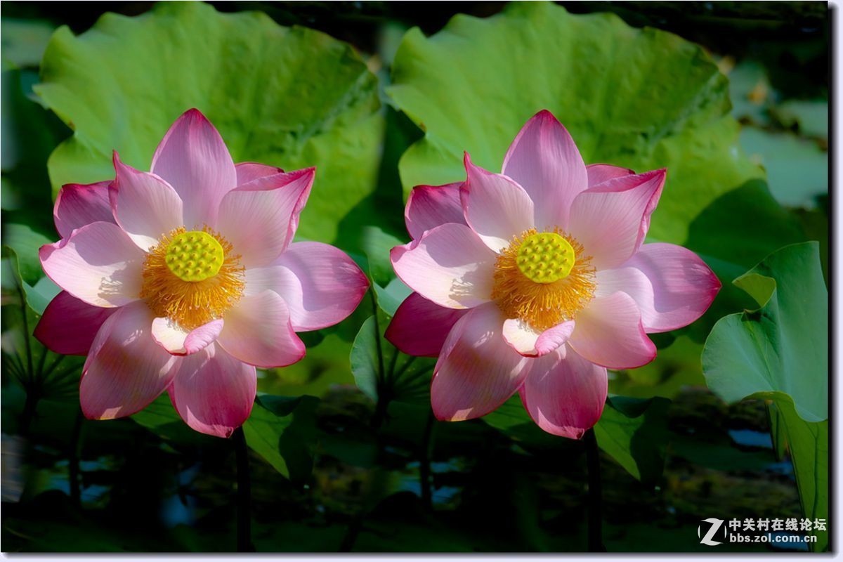 #版主坐堂#小五星空(中国)2017年3月精品荟萃