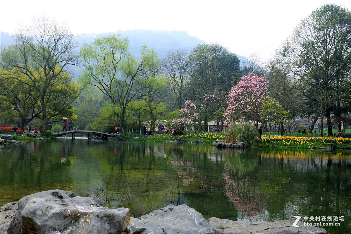 #版主坐堂#小五星空(中国)2017年3月精品荟萃