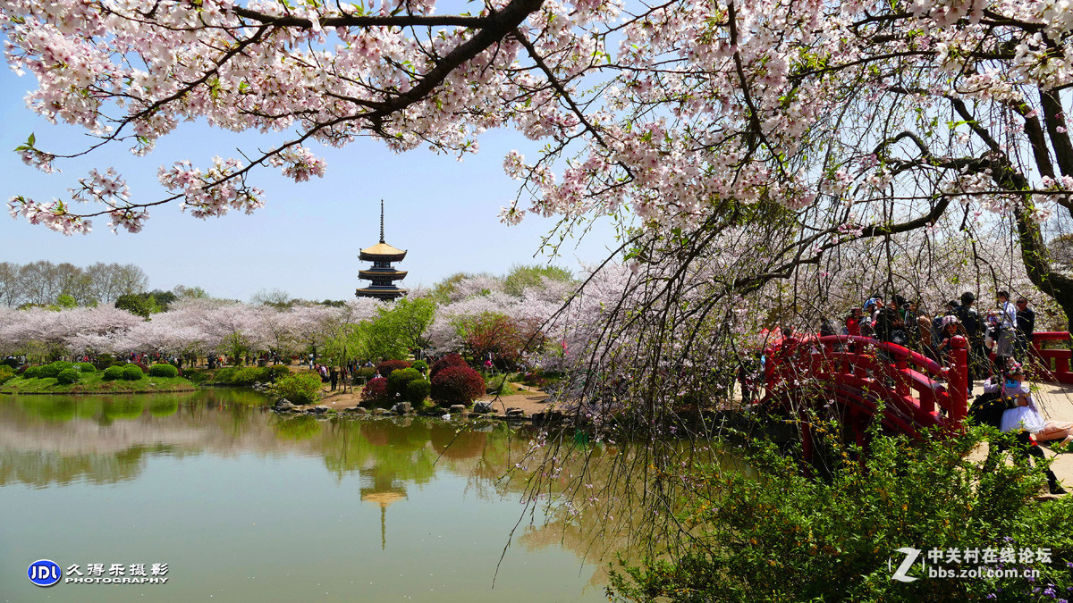 #版主坐堂#小五星空(中国)2017年3月精品荟萃