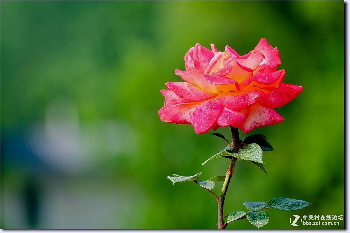 #版主坐堂#小五星空(中国)2017年3月精品荟萃