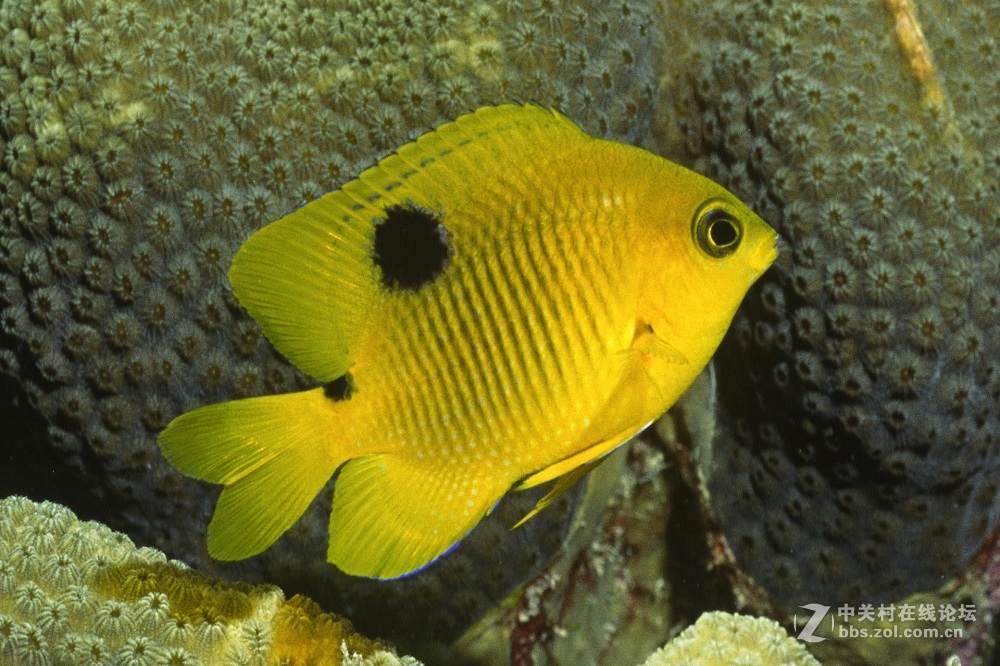 花都港龙拍摄  海底世界