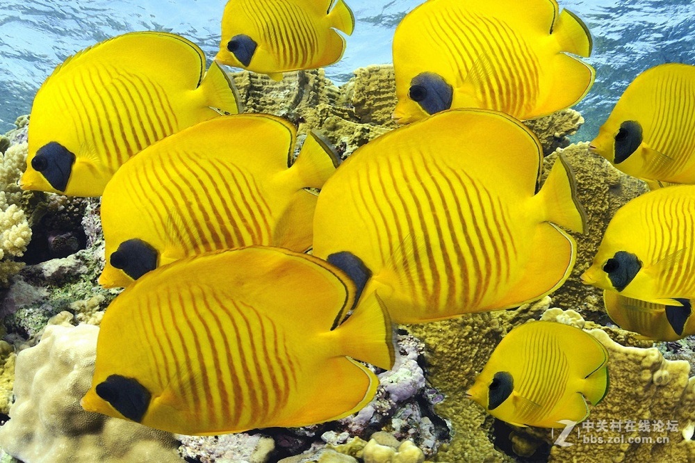 花都港龙拍摄  海底世界