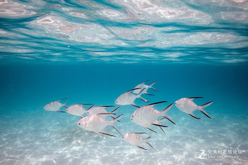 花都港龙拍摄  海底世界