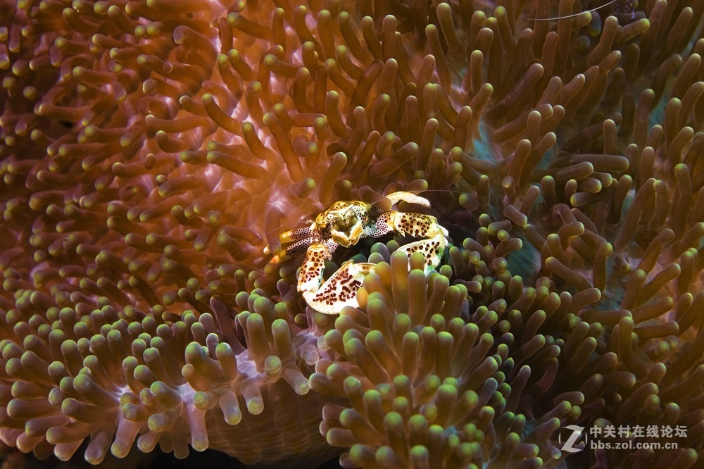花都港龙拍摄  海底世界