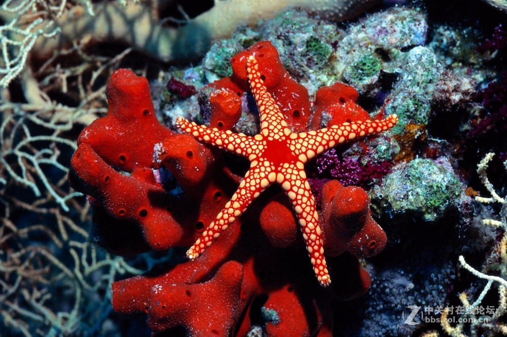 花都港龙拍摄  海底世界