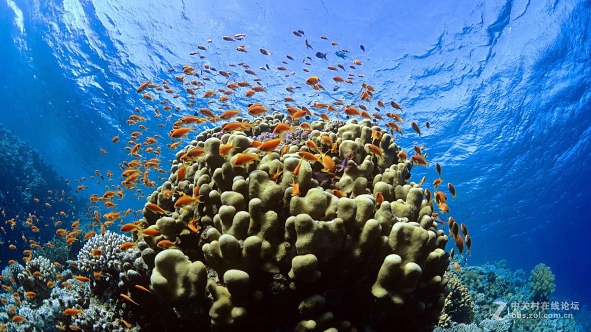 花都港龙拍摄  海底世界