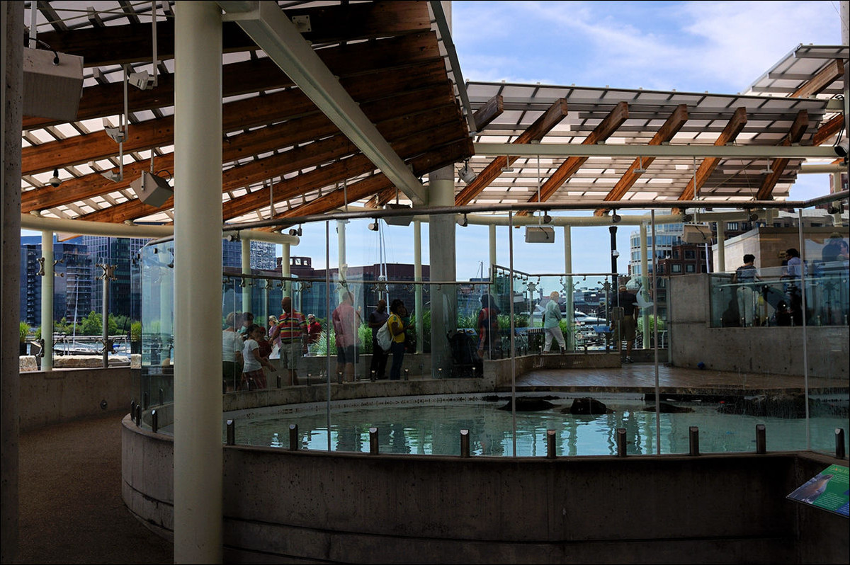 波士顿水族馆