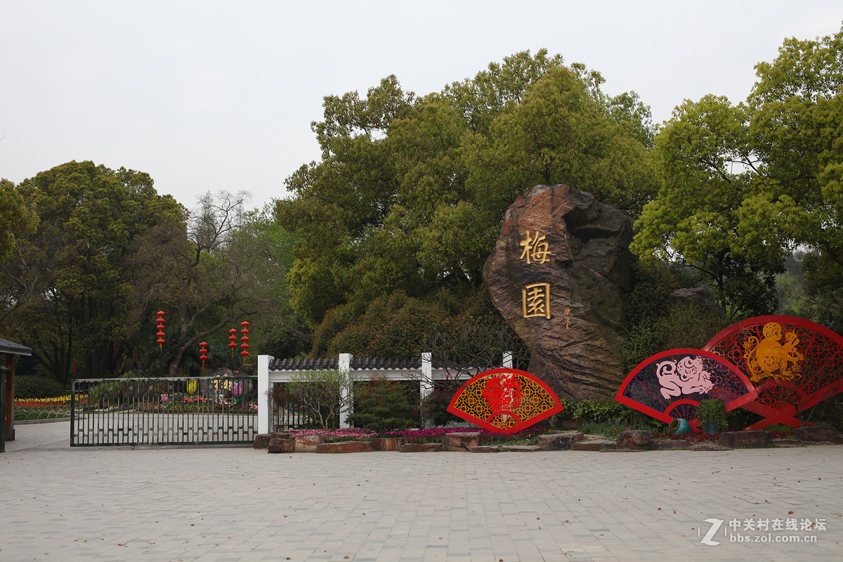 游梅园，不见梅花，赏郁金香