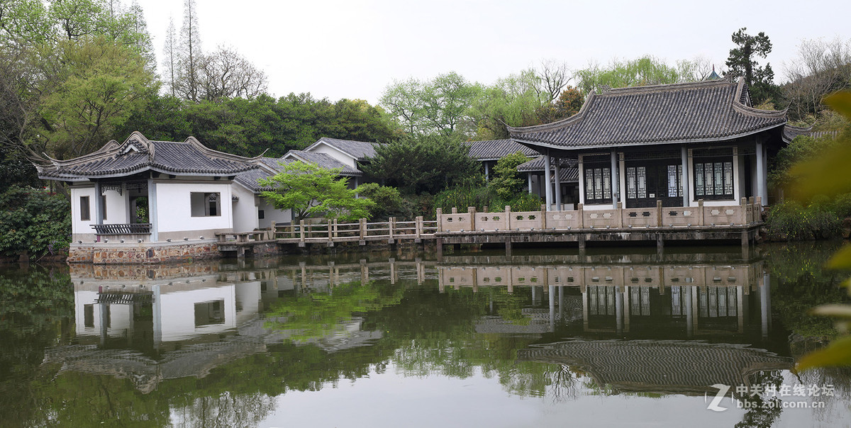游梅园，不见梅花，赏郁金香