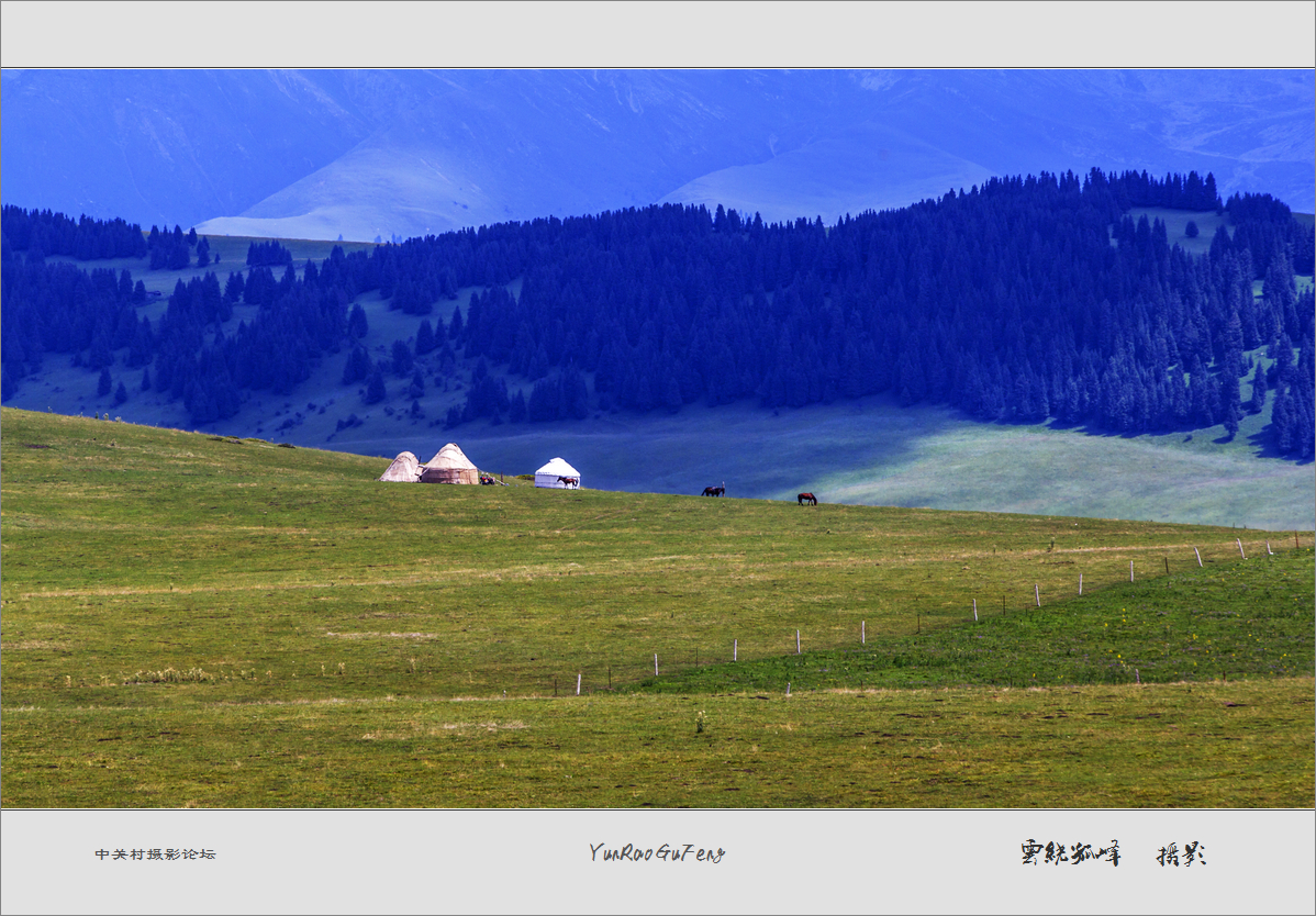 60D拍马！不是拍马屁哈！终于三个村委到齐了！