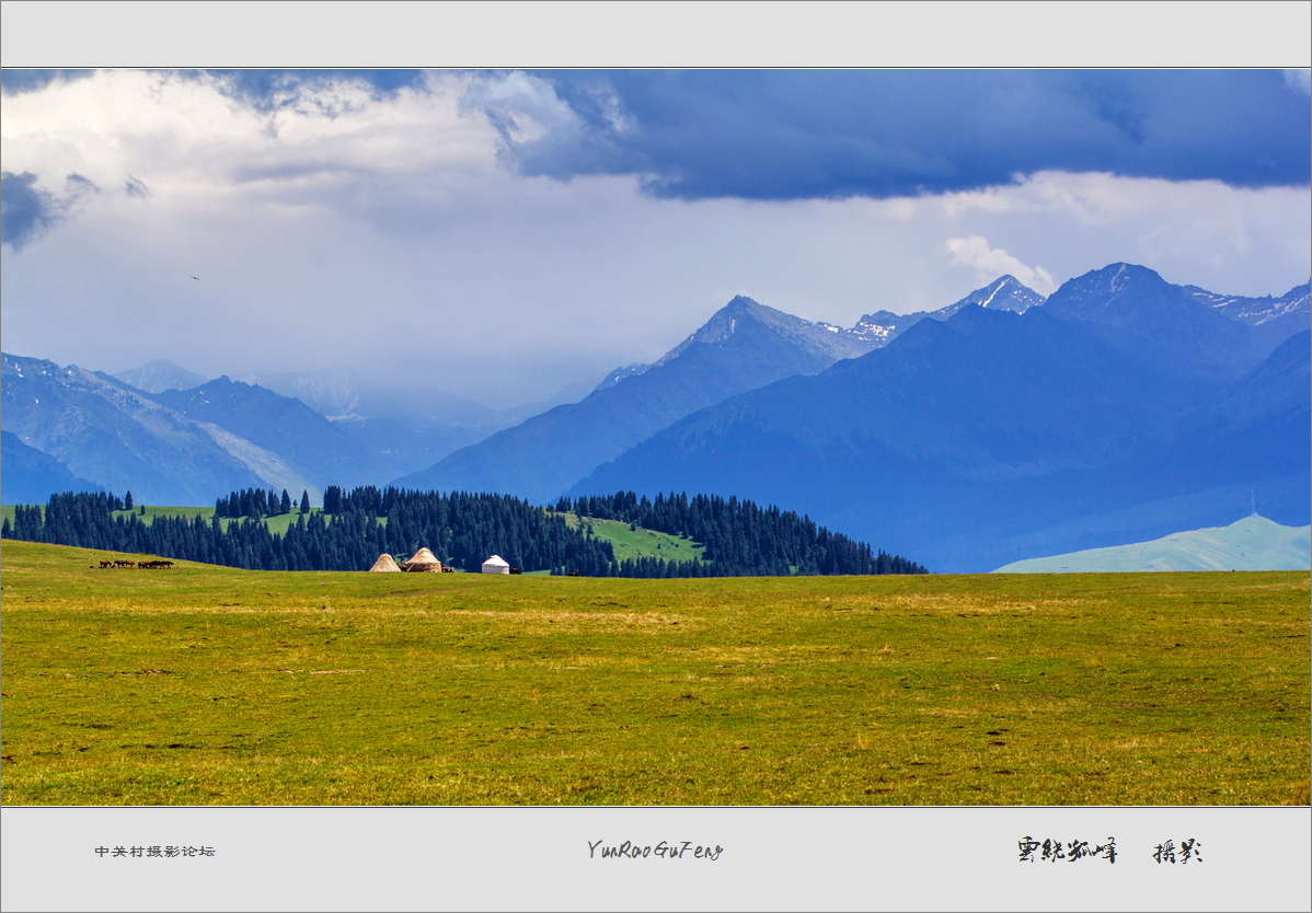 60D拍马！不是拍马屁哈！终于三个村委到齐了！